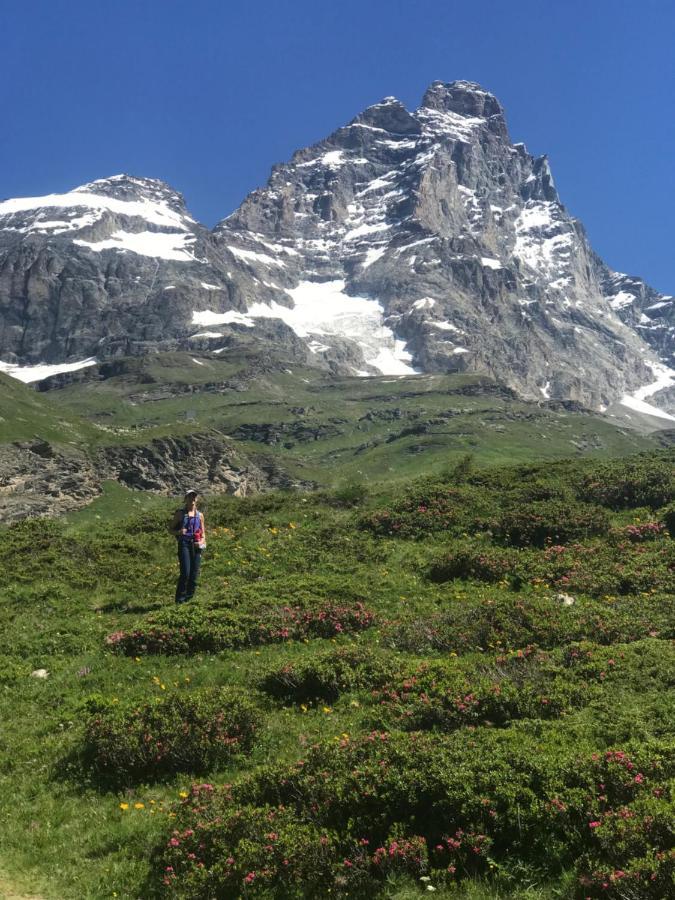 Piccolo Paradiso In Centro Cervinia Breuil-Cervinia Eksteriør billede
